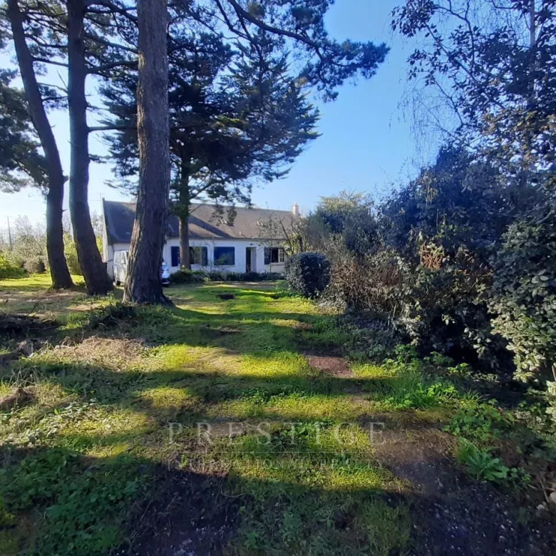 Splendid two- or three-room apartment with a double living room and a terrace with sea views