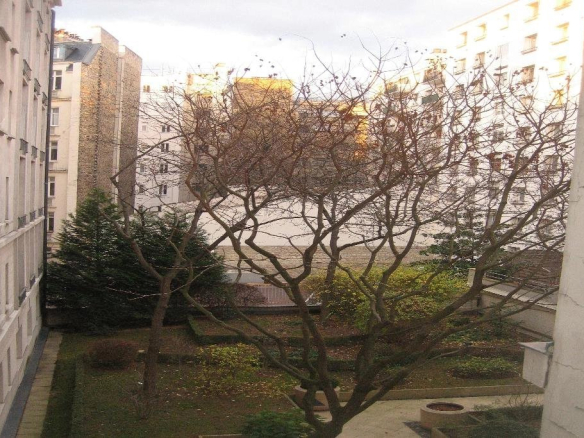 Vue d'un jardin d'immeuble à Paris 16ème avec un arbre dénudé et des bâtiments en arrière-plan.