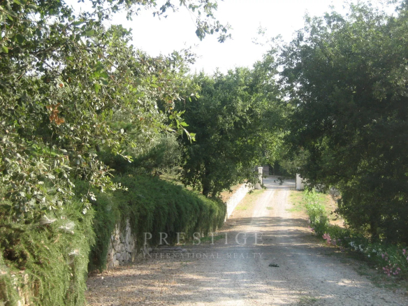 Chemin d'accès à un terrain à bâtir à Châteauneuf-Grasse, entouré d'arbres.