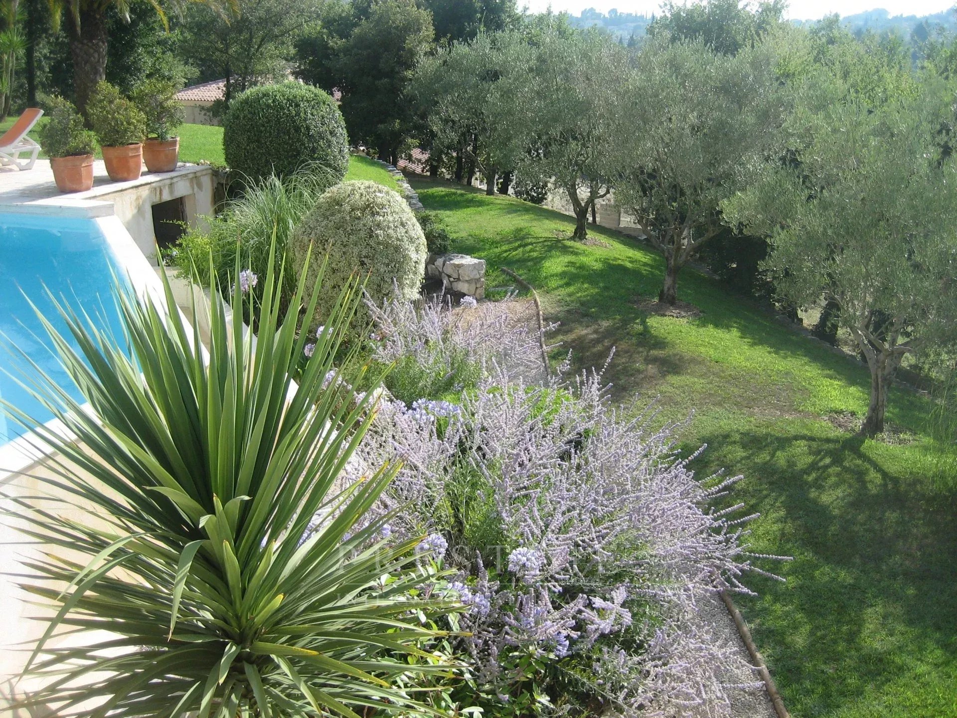 Garden and swimming pool of the villa in Châteauneuf-Grasse View of the garden and swimming pool of a villa in Châteauneuf-Grasse, with plants and trees.