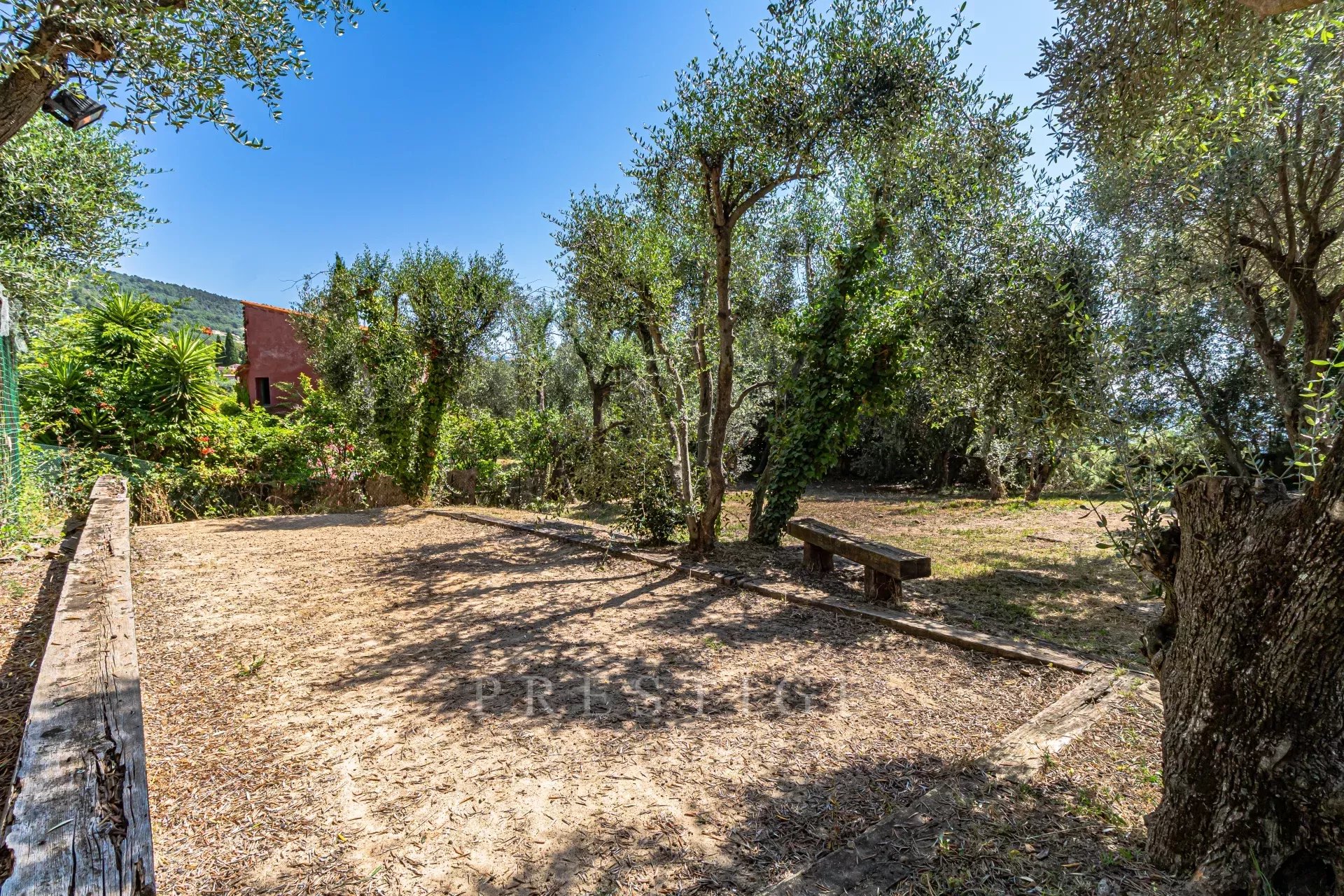 Terrain avec oliviers à Le Tignet Terrain arboré avec des oliviers, espace dégagé et banc en bois, situé à Le Tignet.
