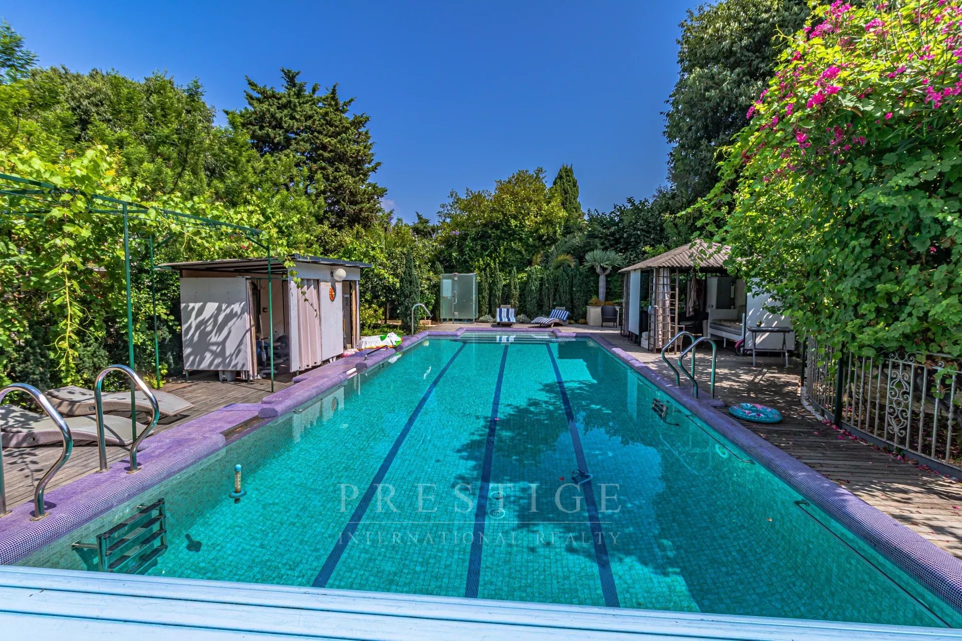 Villa avec piscine à Cap d’Antibes Piscine d'une villa luxueuse à Cap d'Antibes, entourée de verdure.