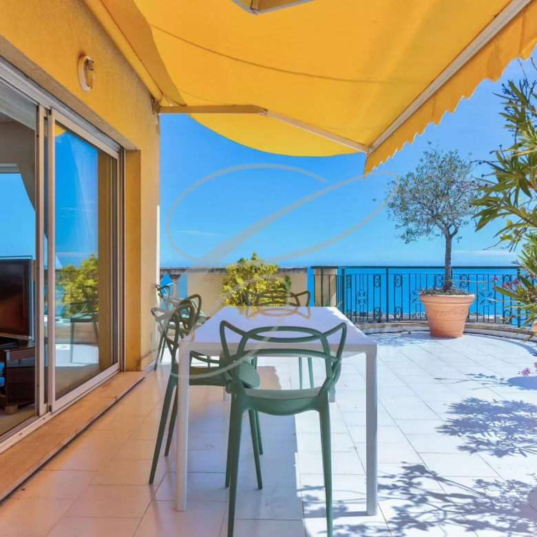 ROQUEBRUNE BORDER – PROPERTY WITH PROJECT