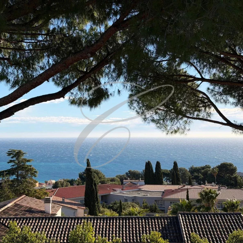 MENTON GARAVAN – PROPRIETE