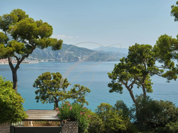 Sea view from a villa with trees on Cap Martin.