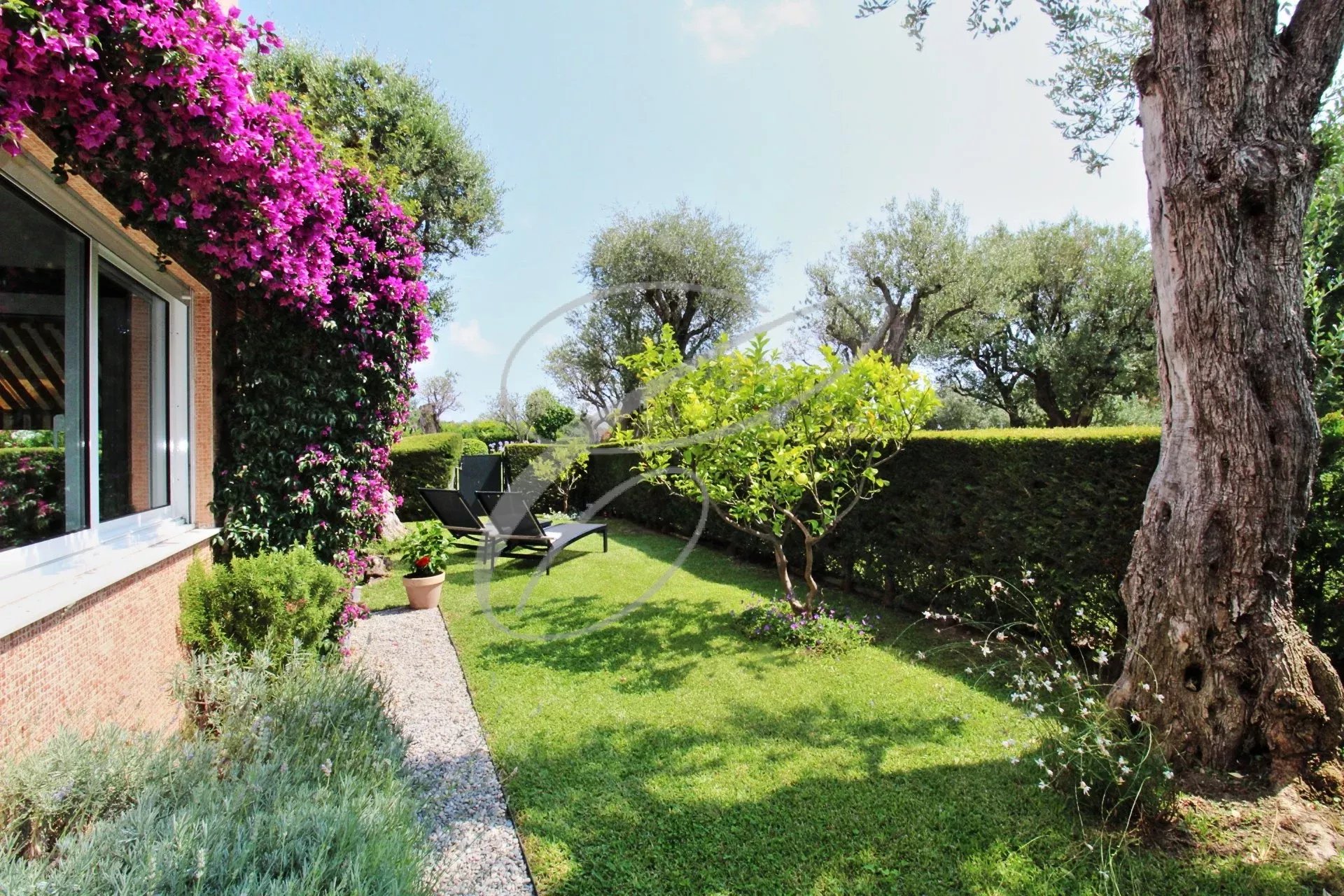 Jardin d’une résidence à Roquebrune-Cap-Martin Jardin d'une résidence avec pelouse, plantes et mobilier de jardin à Roquebrune-Cap-Martin.