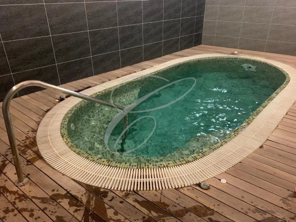 Petite piscine intérieure avec eau claire et margelle en bois