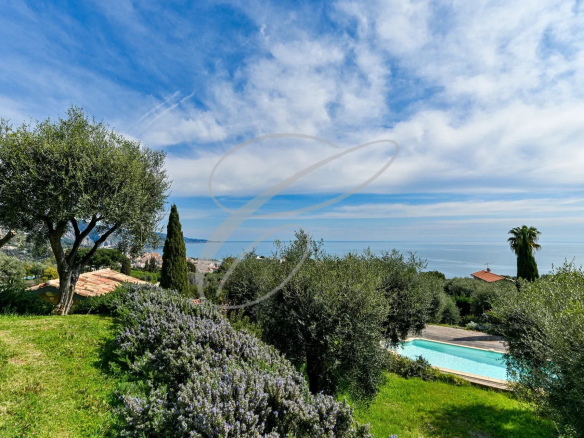 Panoramic sea view from a property with swimming pool and olive grove in Menton.