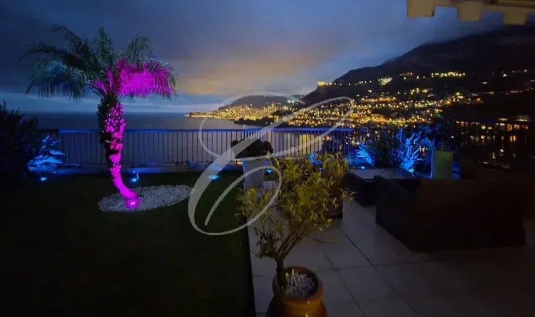 Terrasse avec vue sur Monaco Terrasse d'un appartement avec vue sur la baie de Monaco, palmier illuminé et jardin.