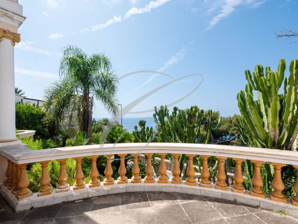 Terrace of a villa with sea views and exotic plants in Roquebrune-Cap-Martin.