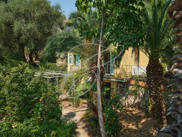 Property in an exotic park in Menton, with main villa and lush vegetation.