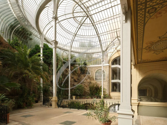 Intérieur d'un palace Belle Epoque avec verrière et plantes tropicales.