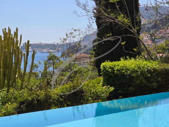 ROQUEBRUNE CAP MARTIN – PROPRIETE