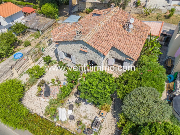 Exceptionnellement rare  près du Cros de Cagnes-sur-Mer