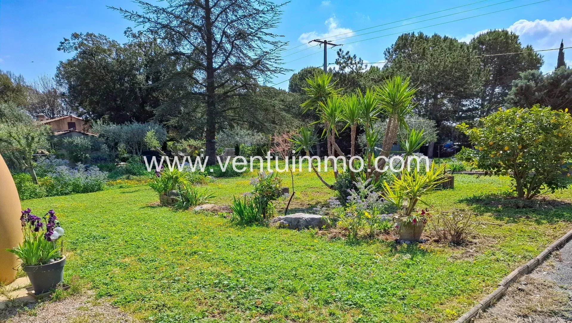 7a4dd31dd70e4f6f44a2d2865f6cd4a4_74a3ddd1e8_1920-original