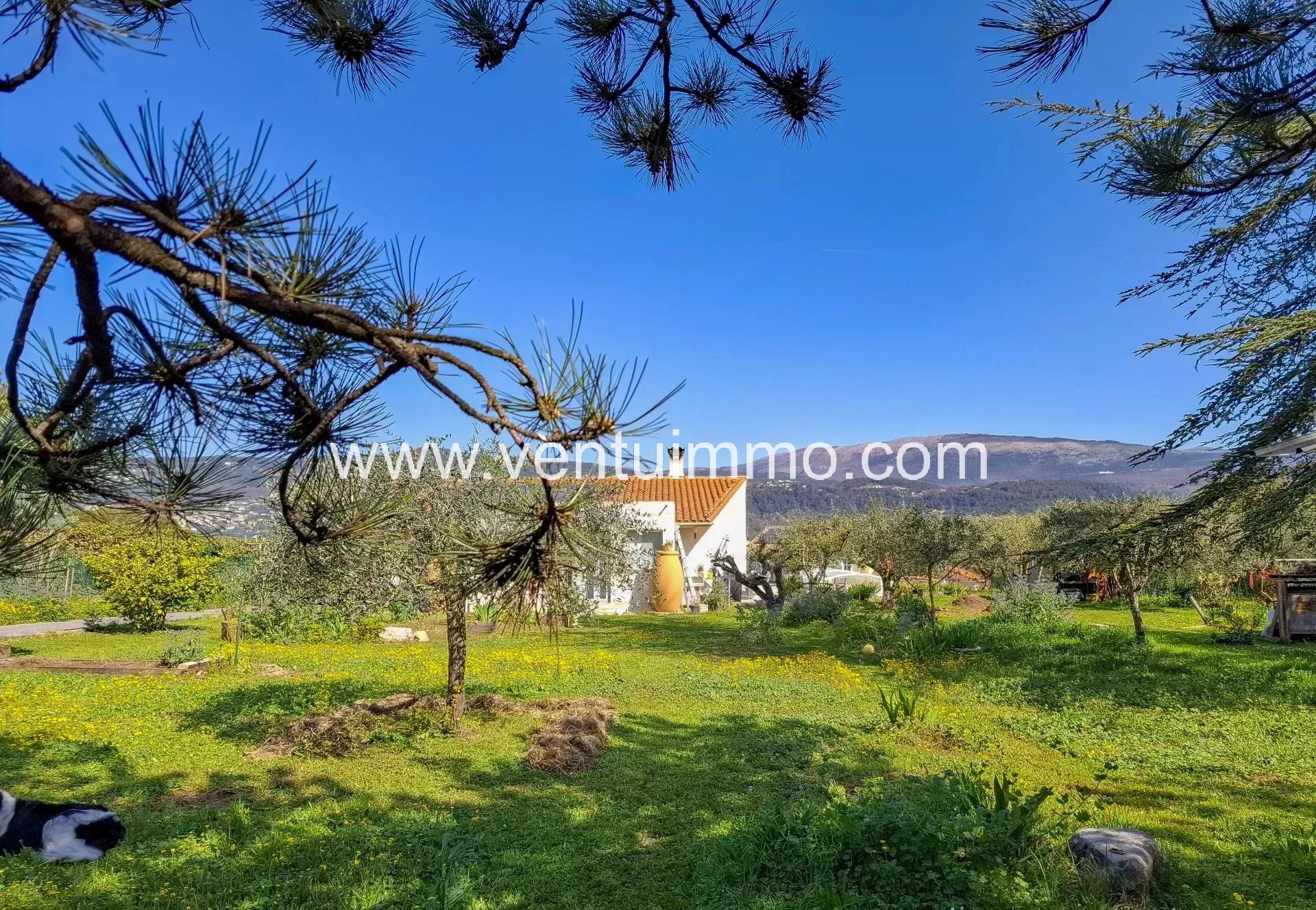 fa80e9758dfd0b5a3c5b2c7517c92836_001ab5bad2_1920-original