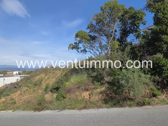 Two semi-detached villas, each with a private pool, in Fréjus