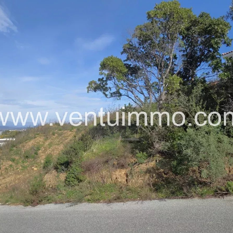 LA GARDE-FREINET: wine estate with house