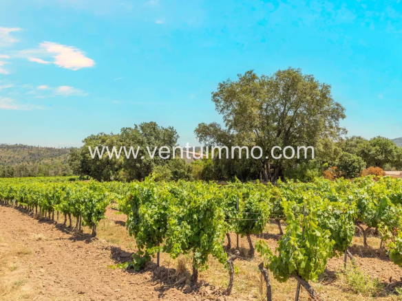 Luxury real estate photo | Charming Properties