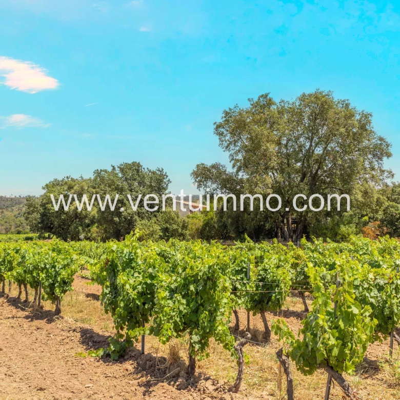 Luxury real estate photo | Charming Properties
