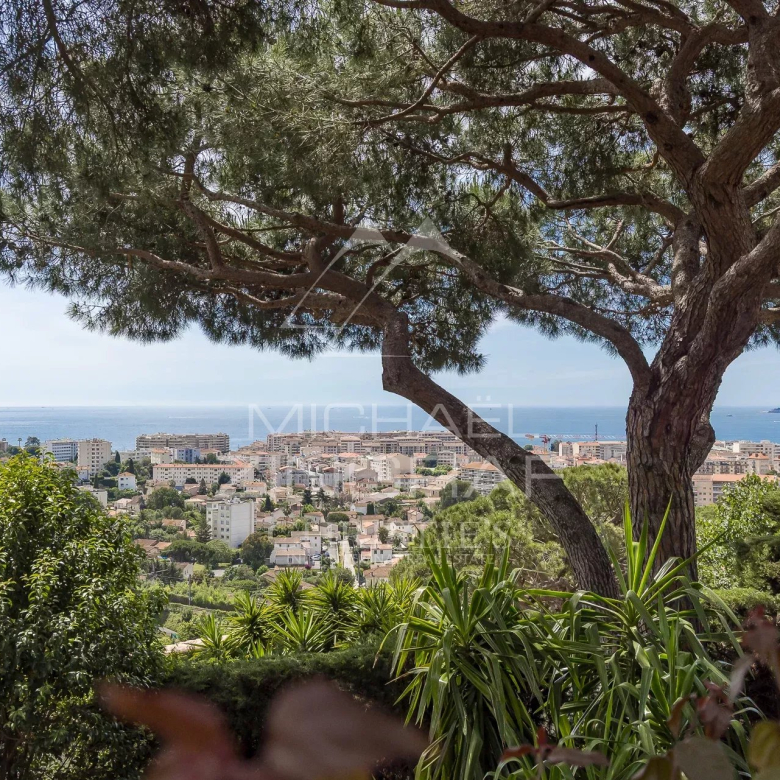 Cannes - Oxford - Panoramic view of town