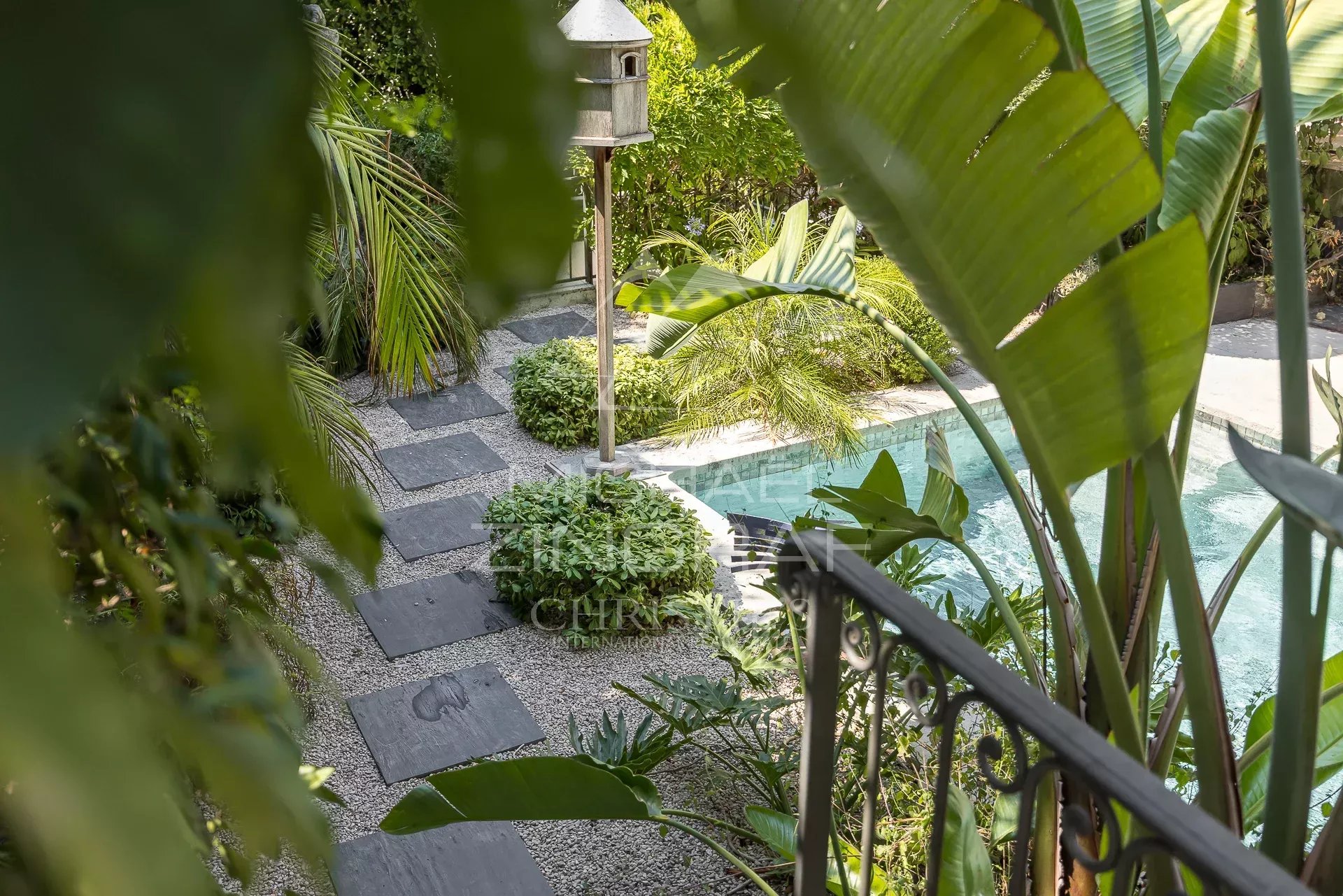 Vue d'un jardin avec piscine et végétation luxuriante dans une maison à Cannes.