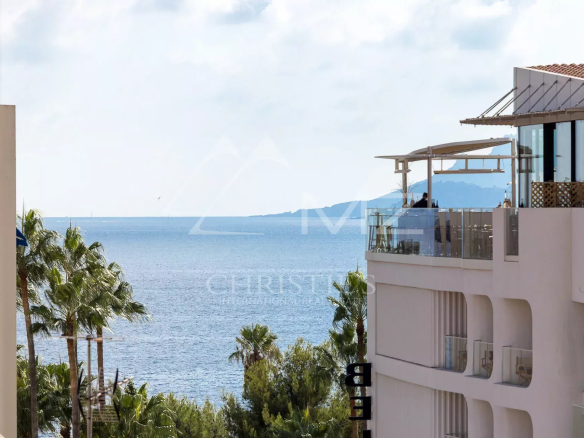 Vue mer depuis un appartement à Cannes avec palmiers au premier plan.