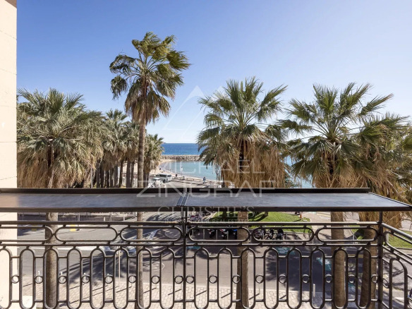 View from a balcony with palm trees and the sea in the background in Cannes.
