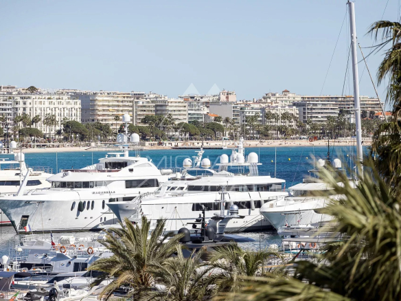 Panoramic view of the Old Port of Cannes with yachts in the foreground.