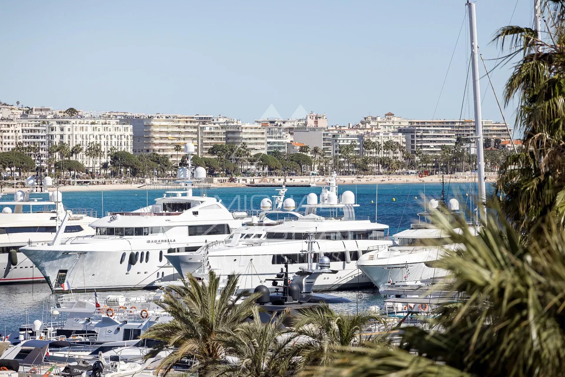 View of the Old Port of Cannes Panoramic view of the Old Port of Cannes with yachts in the foreground.