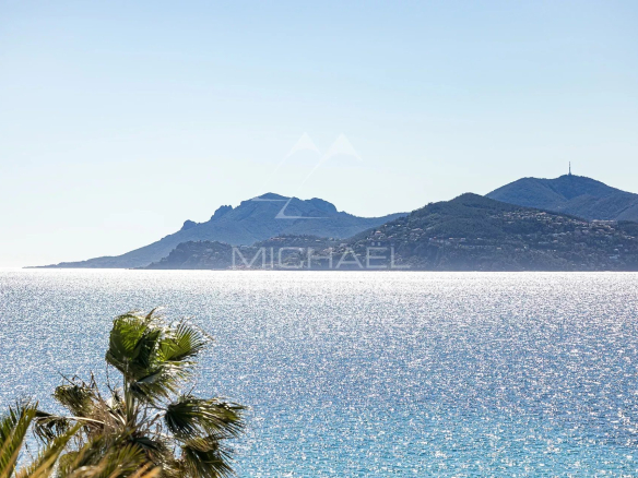 Vue panoramique sur la mer depuis un penthouse à Cannes, avec des palmiers au premier plan.