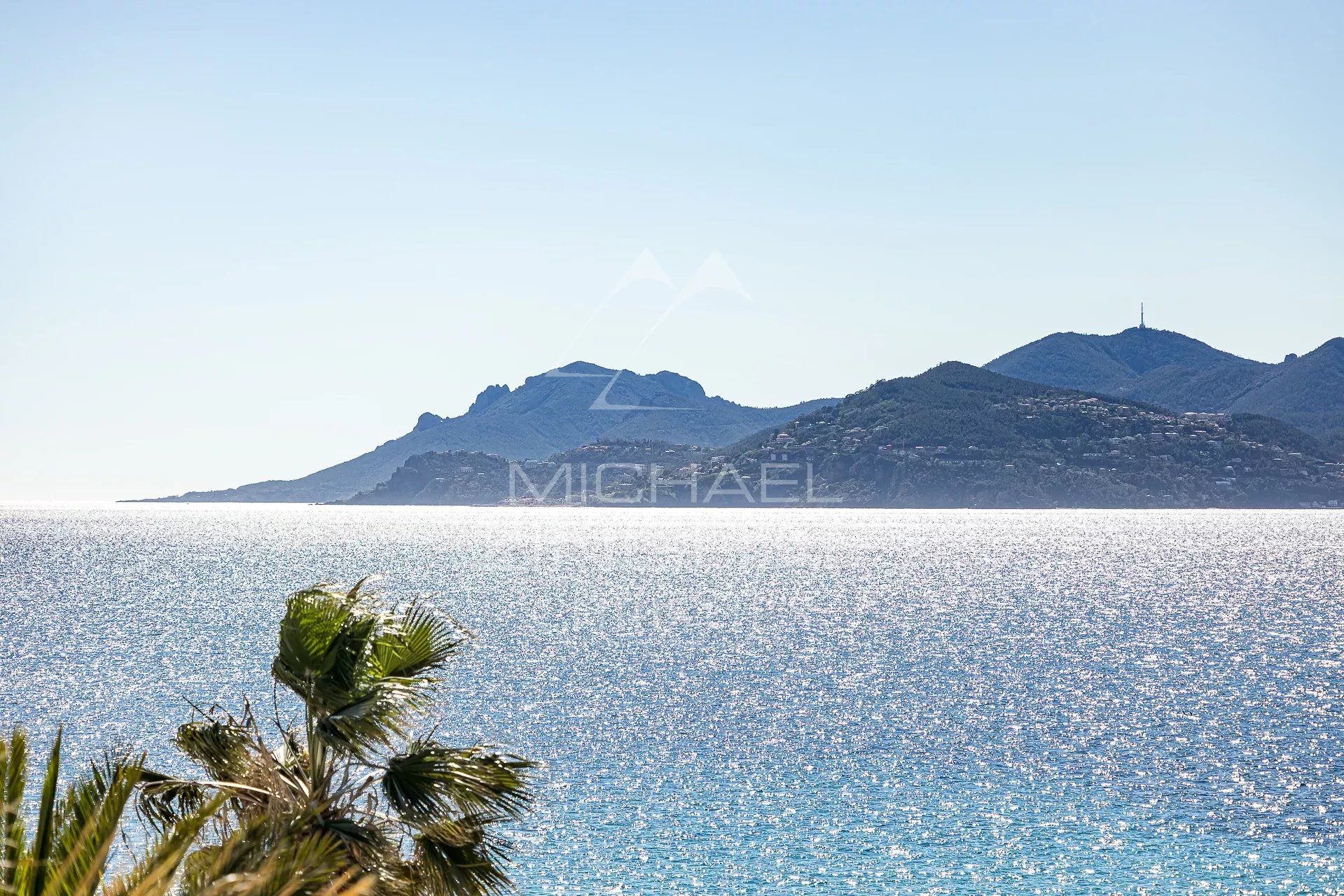 Vue Mer Panoramique depuis un Penthouse à Cannes Vue panoramique sur la mer depuis un penthouse à Cannes, avec des palmiers au premier plan.
