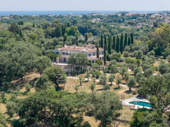 Vue aérienne d'une propriété avec piscine entourée d'une oliveraie à Antibes.