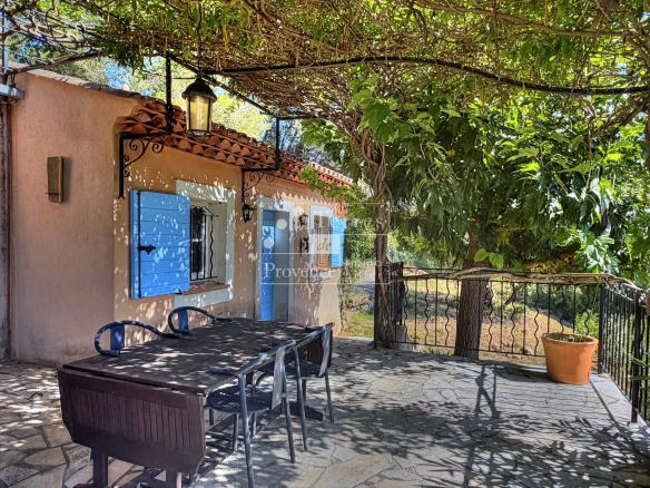 Terrace of a Provençal country house with table and chairs under a green vine.
