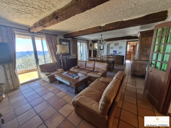 Intérieur d'une villa spacieuse avec salon, canapé en cuir et vue sur la nature.