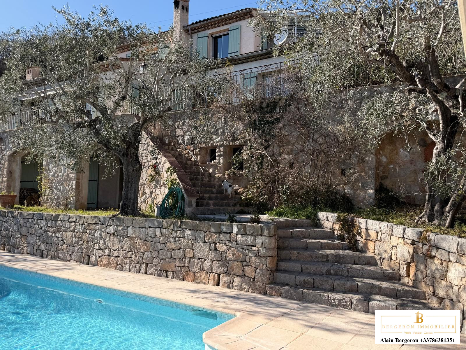 Villa à Spéracèdes avec piscine Villa avec piscine et vue panoramique à Spéracèdes, entourée d'oliviers et de murs en pierre.