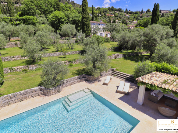 Vue d'une piscine et d'un jardin méditerranéen avec oliviers à Cabris.