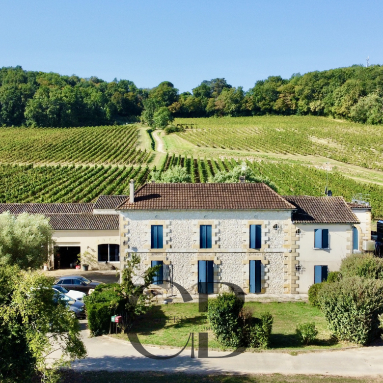 Propriété viticole rare en Pécharment