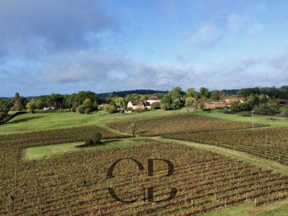 Propriété viticole rare en Pécharment