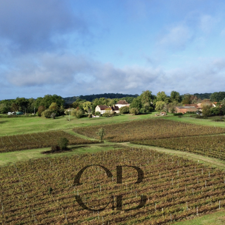 Propriété viticole de famille