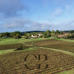 Propriété viticole rare en Pécharment