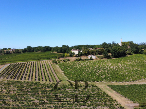 Exceptional Wine Estate in the Heart of Périgord Pourpre