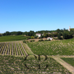 Domaine Viticole d’Exception au Coeur du Périgord Pourpre