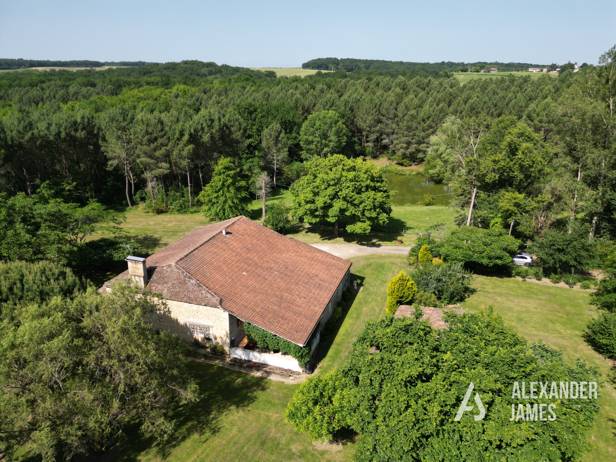 photo_499b57264b4f8a2020036a739fdd2444