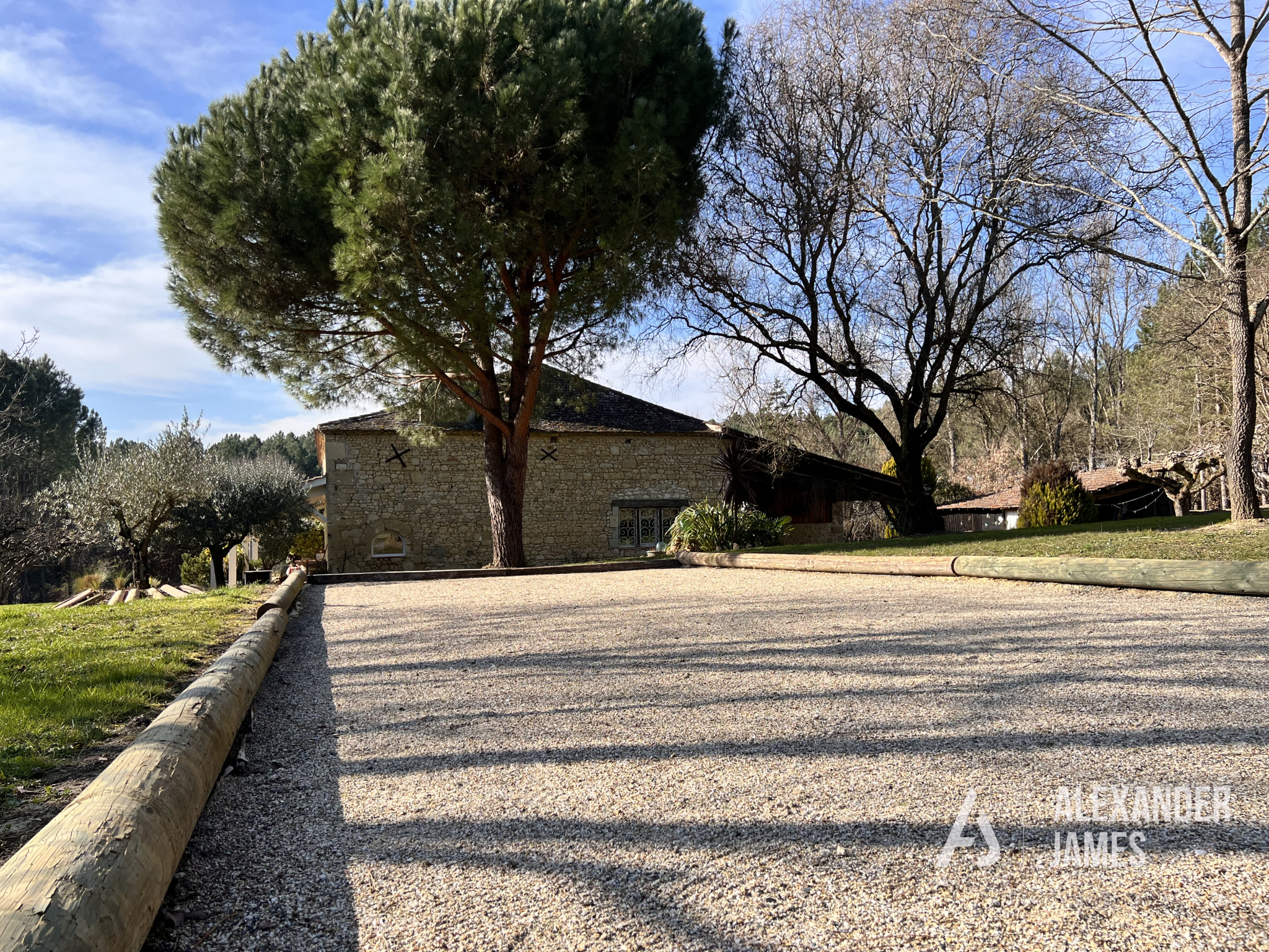 photo_6d54bd042362aa276cf884683b46dbb5