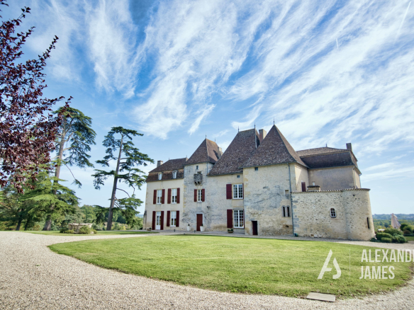 Magnifique Château en Gironde avec son parc arboré et une vu