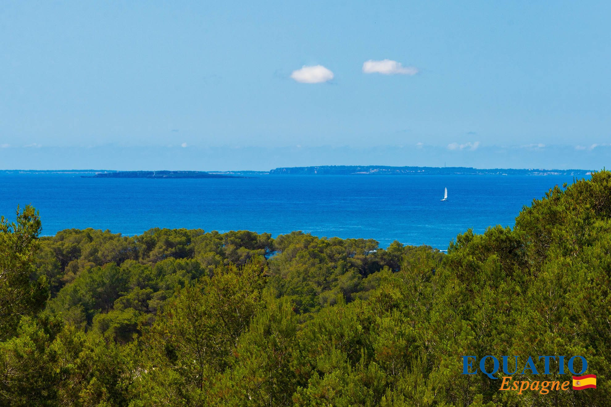 1706368117_VM2057_1_original