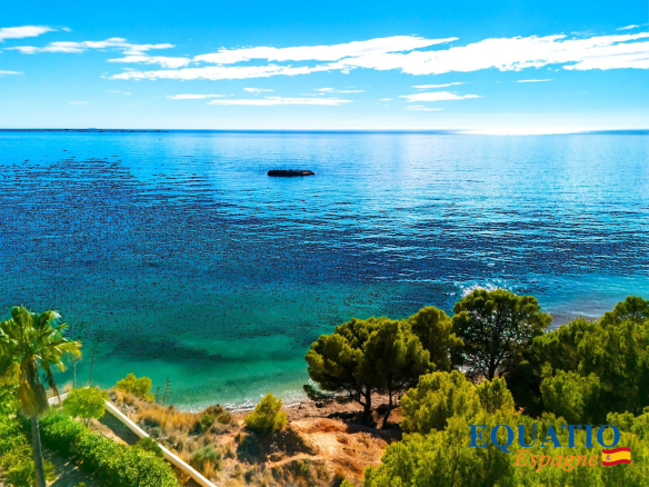 Vue sur la mer depuis une villa contemporaine à Altea, Espagne, avec des arbres au premier plan.