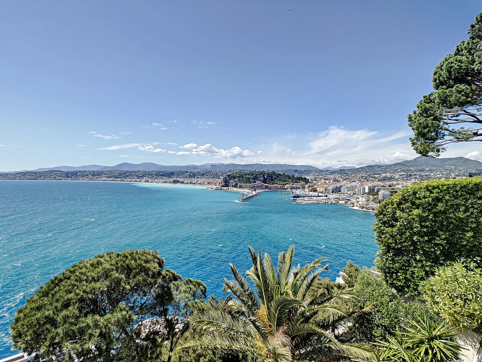 4e31667dd35ecc614e29388ca6583e8d_0f5320464d_1920-original