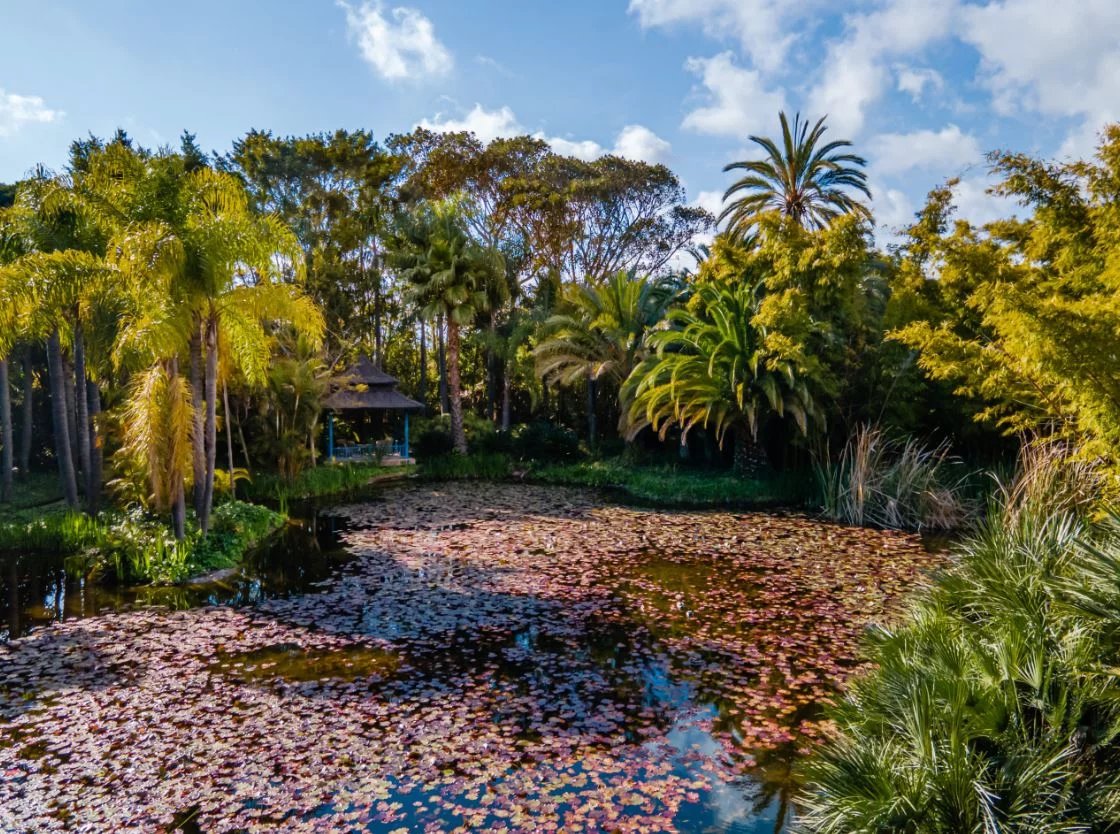 87f223f886016c65a6829a3c83aaf27c_54ba7f6d9d_1120-original